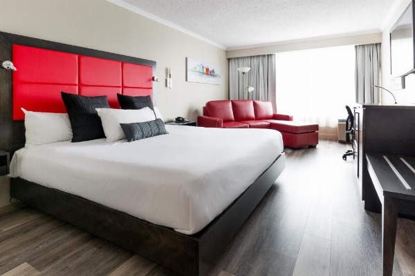 Hotel Universel Alma image 10