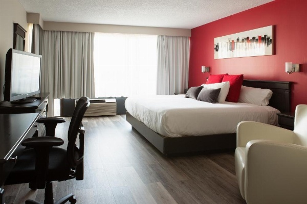 Hotel Universel Alma image 15