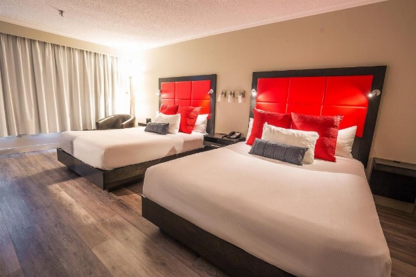 Hotel Universel Alma image 6